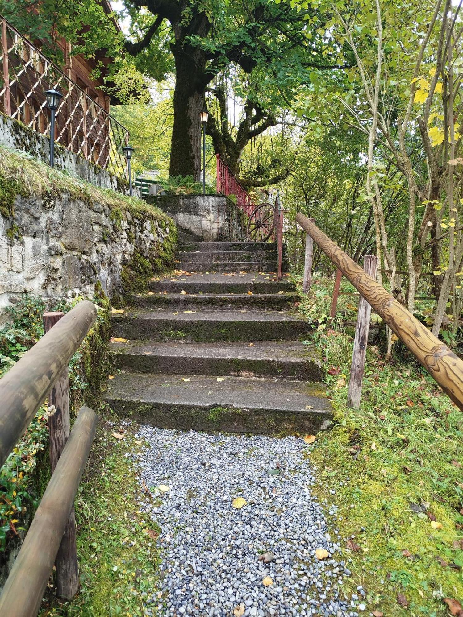 Sonnenhof Wengen - First Hotel Of Wengen Ngoại thất bức ảnh