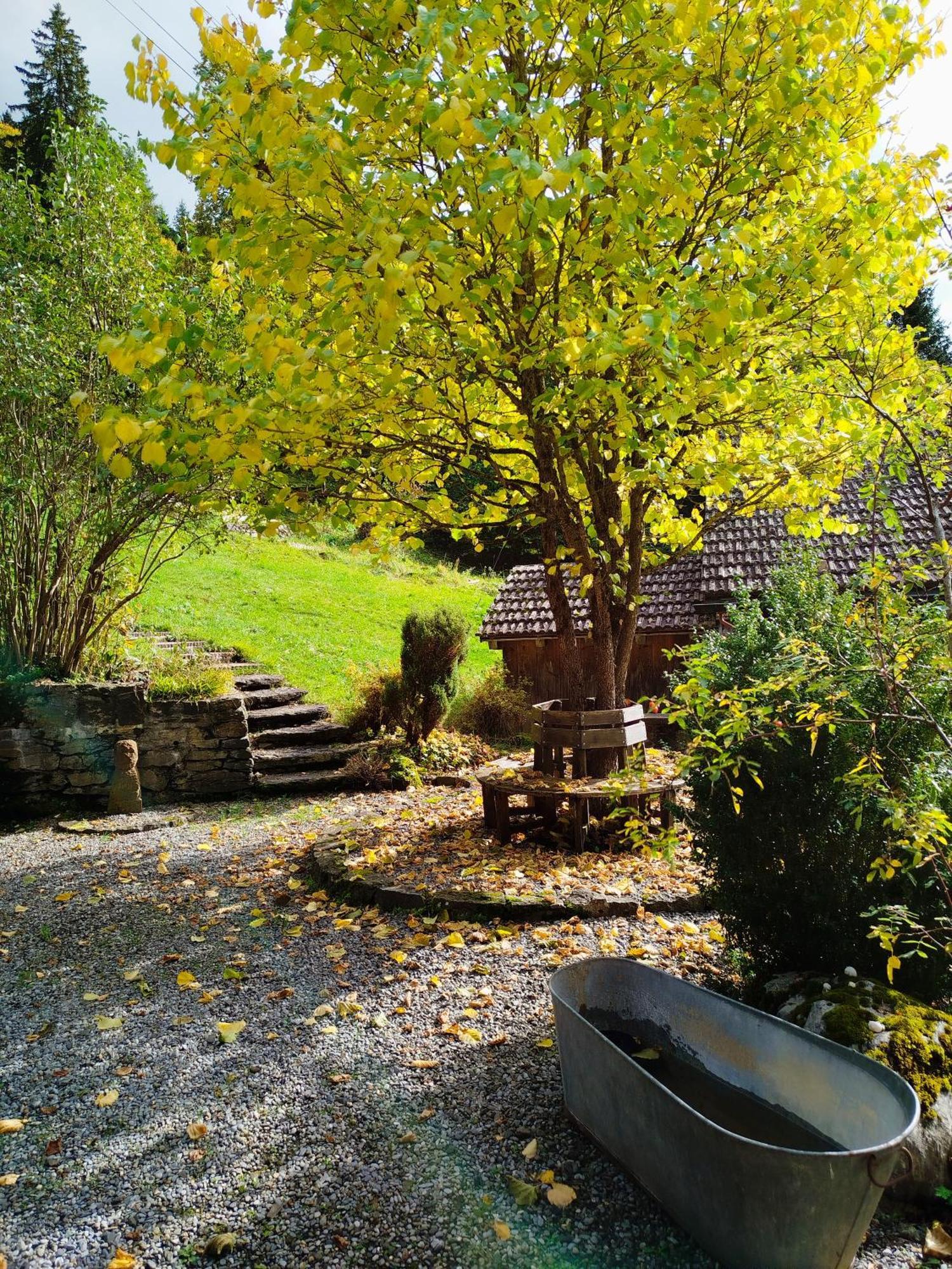 Sonnenhof Wengen - First Hotel Of Wengen Ngoại thất bức ảnh